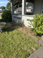 IMG_2136.jpeg