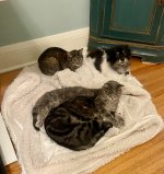 IMG_5591.jpeg