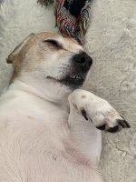 IMG_4008.jpeg