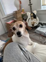 IMG_3853.jpeg
