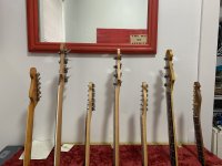 IMG_4275.jpeg