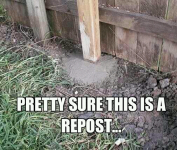 1750362869209.png