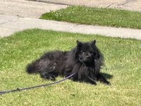 IMG_0689.jpeg