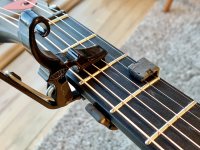 Capo_Partial_3_&_Dbl_02.jpg