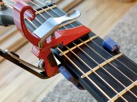 Capo_Partial_4_Hammer_&_Single_02.jpg