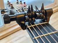 Capo_Spider_02.jpg