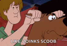shaggy-scooby-doo.gif