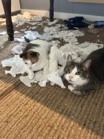 IMG_8773.jpeg
