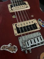 IMG_7034.jpeg