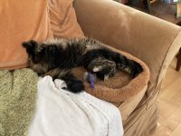 Kiki stretch.jpg