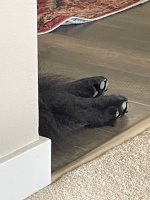 IMG_0583.jpeg