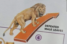 1000014417.png