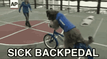 1000014419.gif