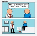 nasty bug.JPG