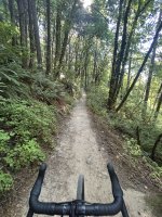 IMG_9900.jpeg