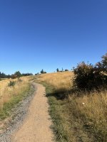 IMG_9903.jpeg