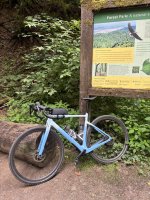IMG_9206.jpeg