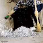 IMG_2367.gif