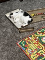 IMG_4985.jpeg