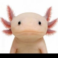 TheThunderAxolotl
