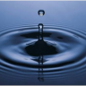 Fluid