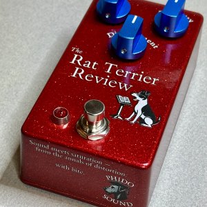 RT-01: Rat Terrier Review